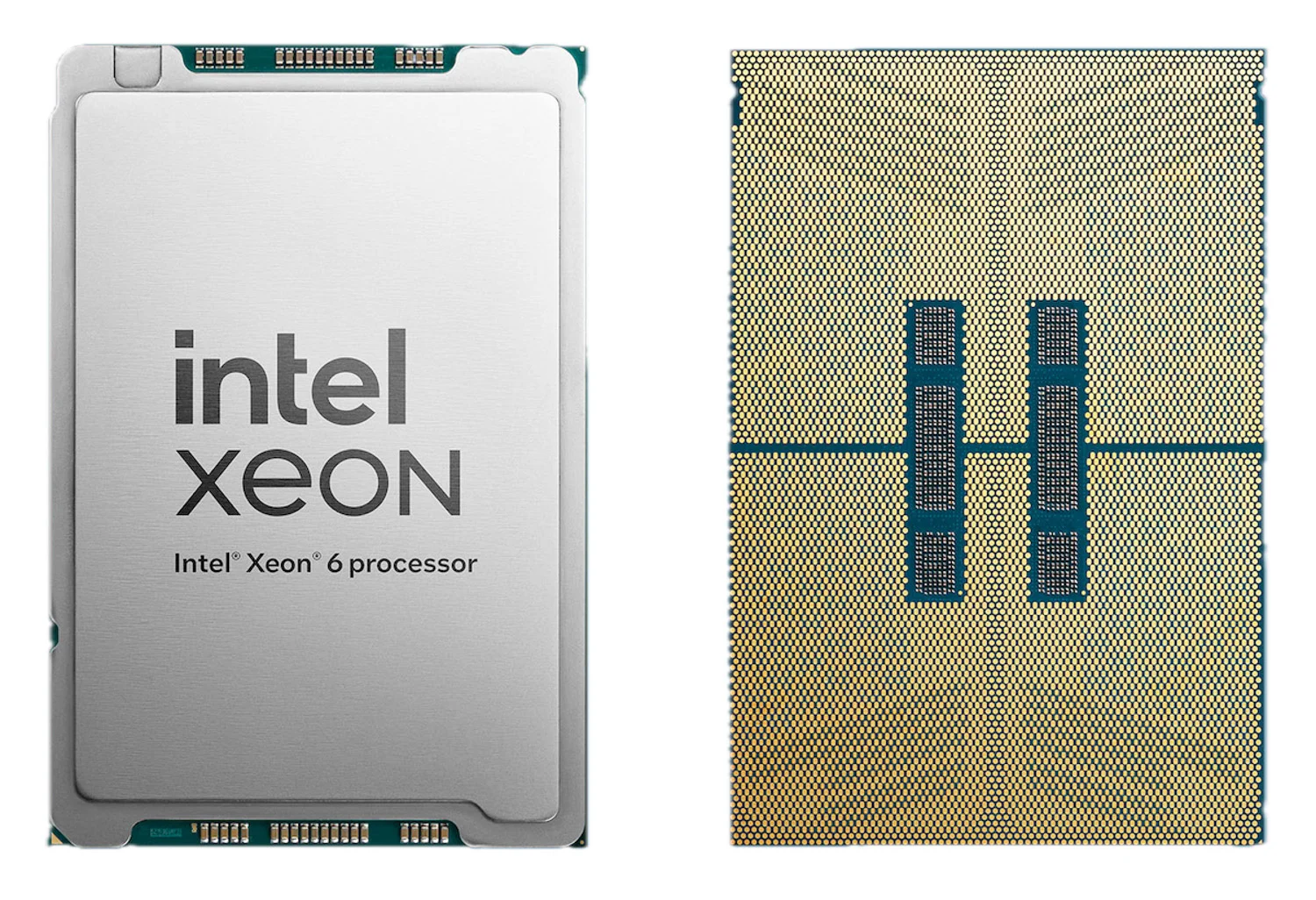 Processeur Intel Xeon 6 vu de face et de dos : capot métallique gravé, et face de contacts